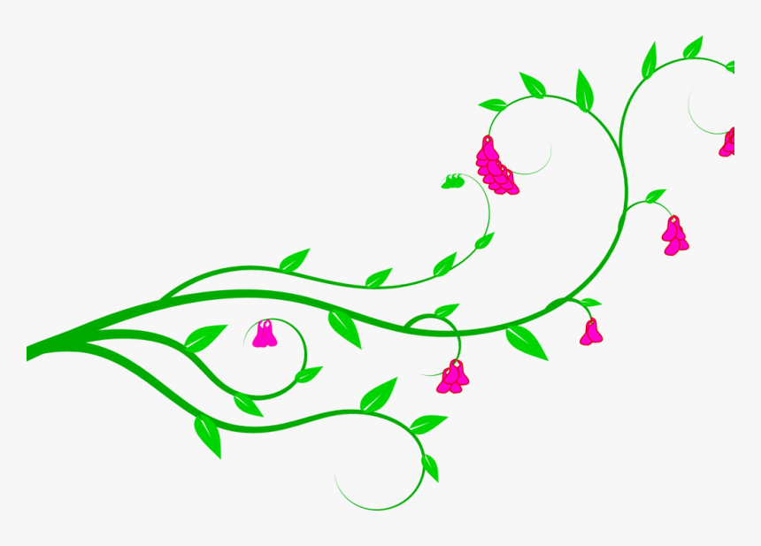 Download Vine Clip Art - Flower Vine Clipart, HD Png Download