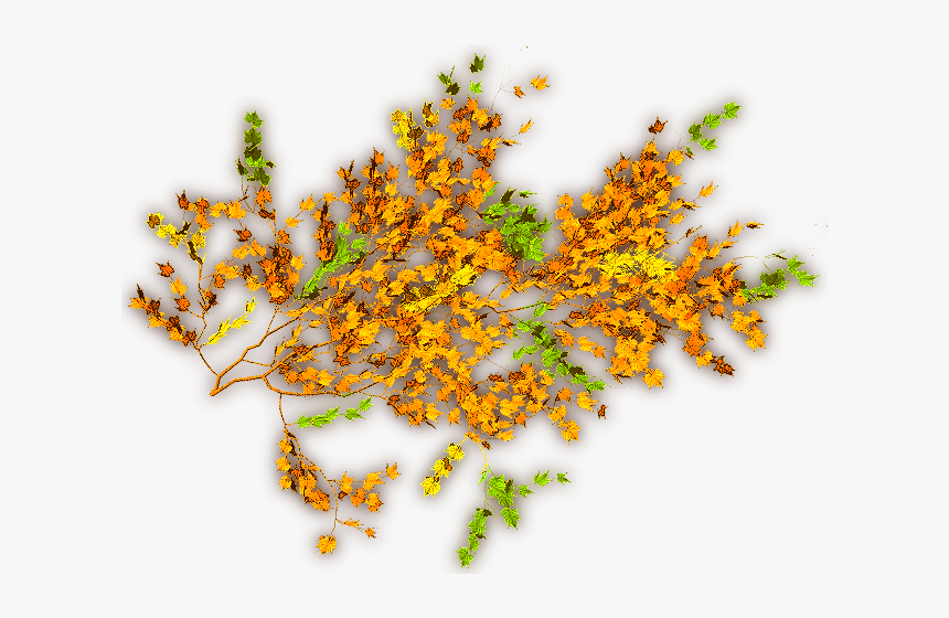 Photoshop Creeper Plants Png, Transparent Png