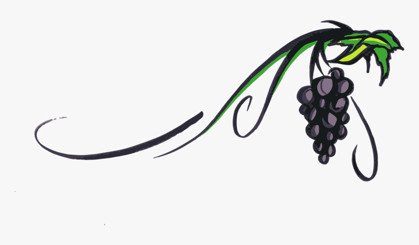 Grape Vine Png - Wine Grape Clip Art, Transparent Png