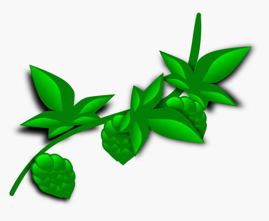 Jungle Vine Png - Plant Clip Art, Transparent Png