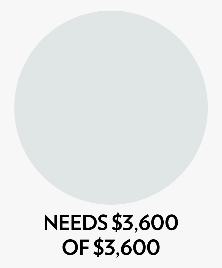 Circle, HD Png Download