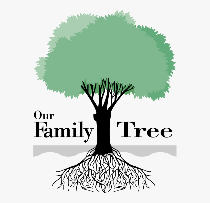 Ridgway Family Tree Clipart - My Family Tree Clipart, HD Png Download