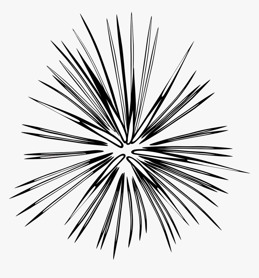 Transparent Fireworks Clipart Black And White, HD Png Download