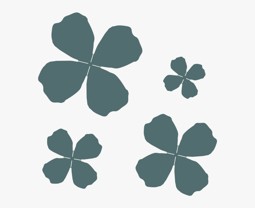 Wood Sorrel Family, HD Png Download