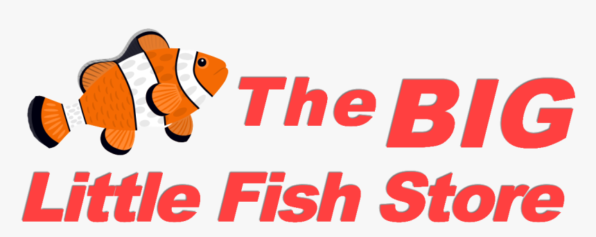 Mail And More, HD Png Download