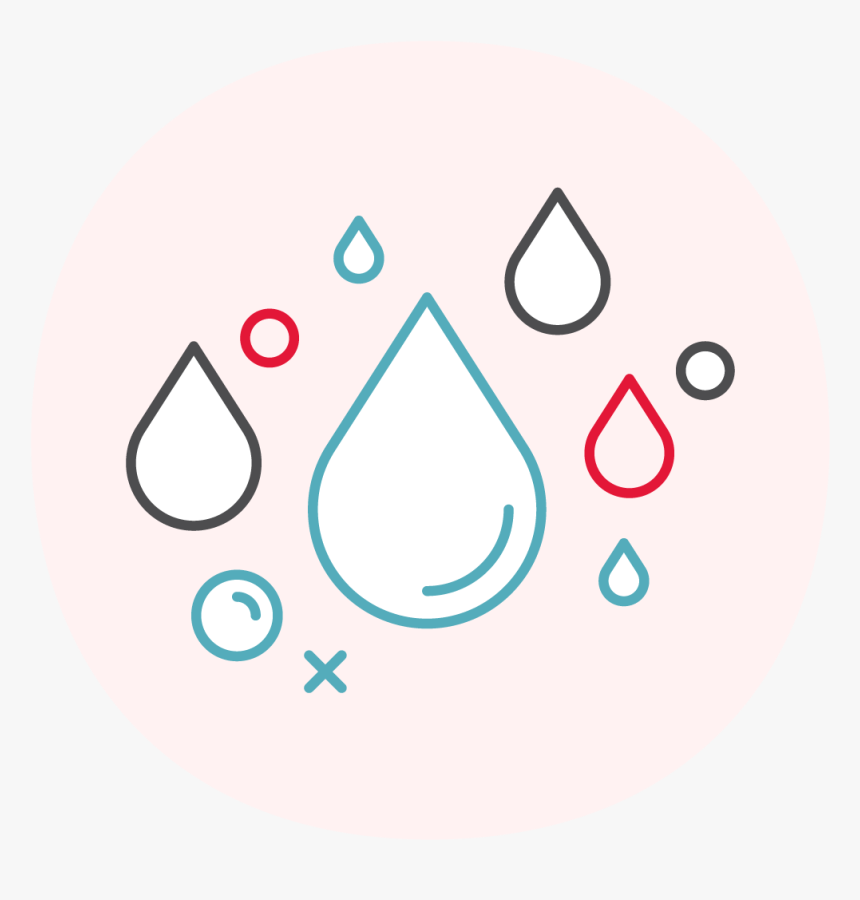 Circle, HD Png Download