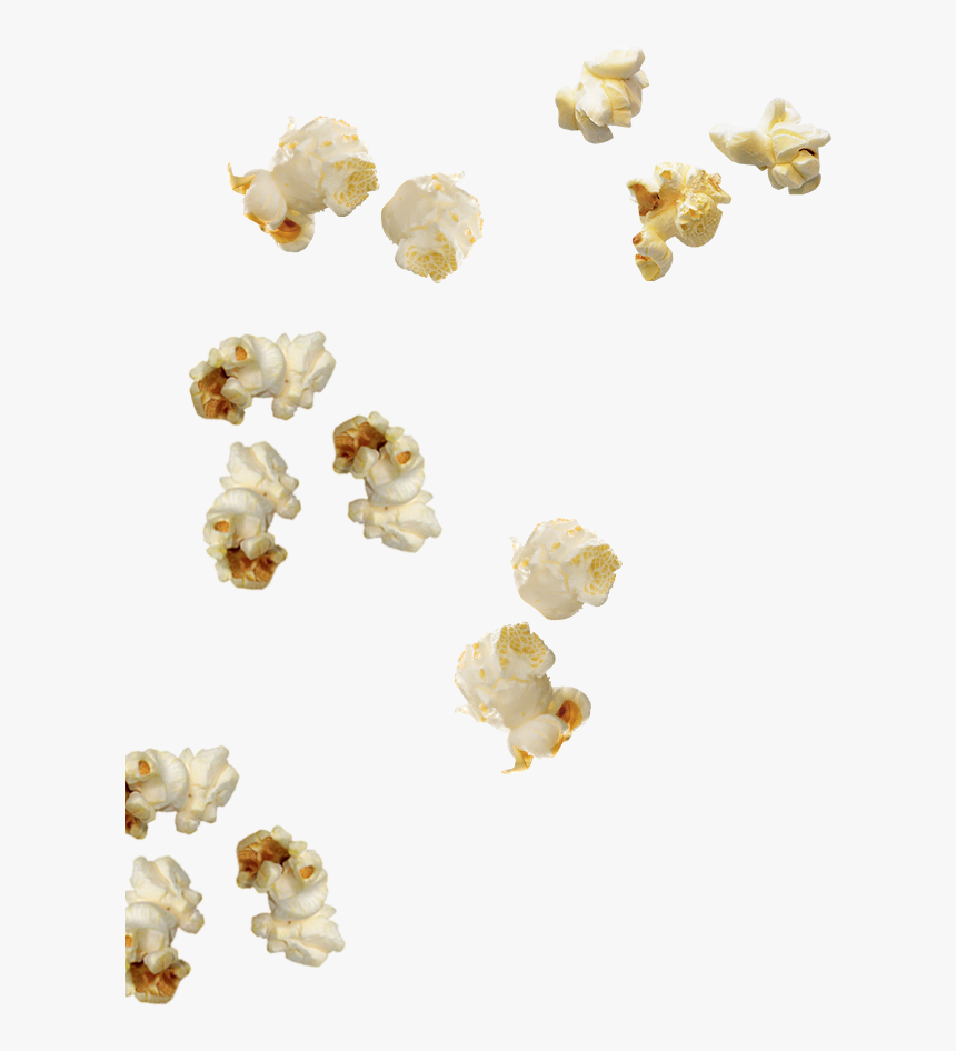 Bnr-inner - Popcorn Png, Transparent Png