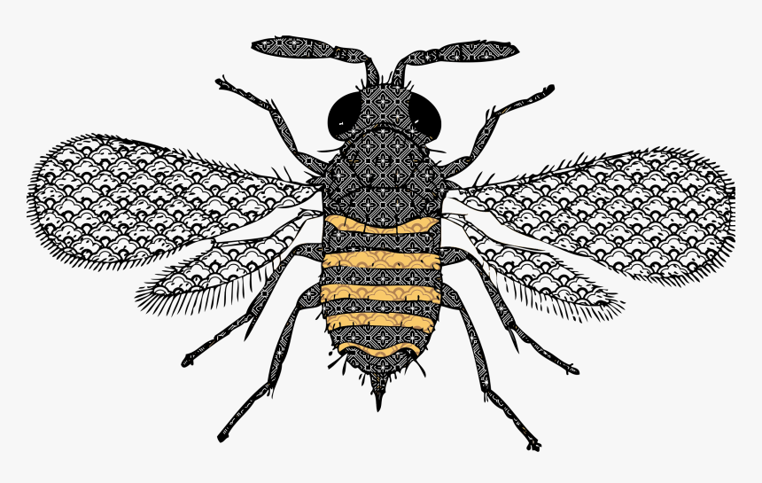 Very Detailed Bee Clip Arts - Lumbar Bee Pillow, HD Png Download