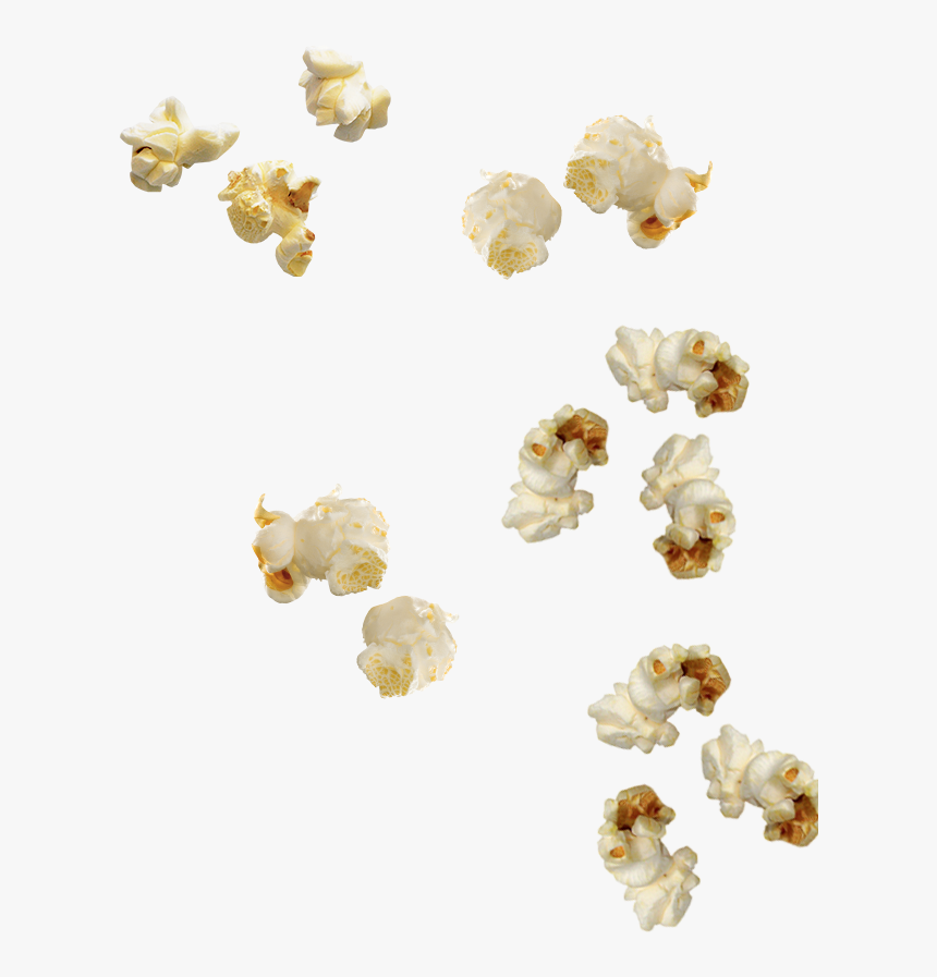 Bnr-inner - Popcorn Spread, HD Png Download