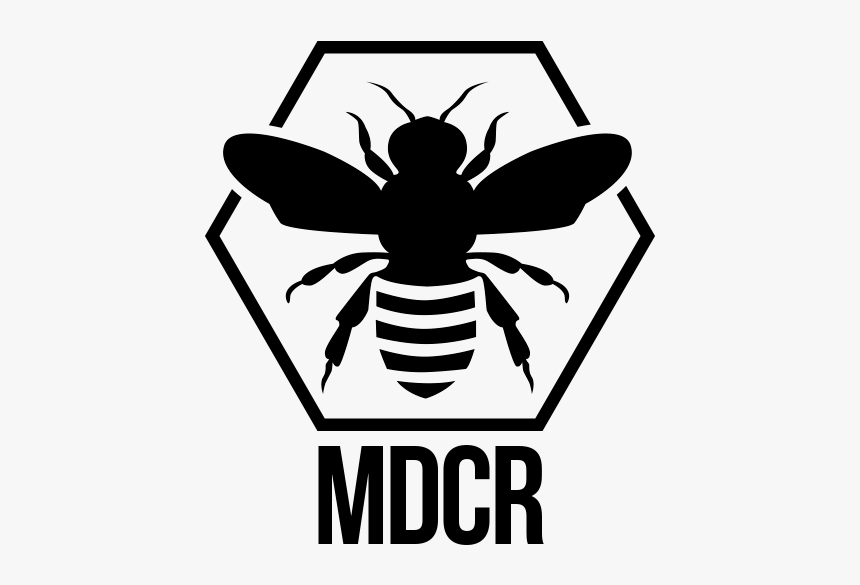 Bee Png, Transparent Png