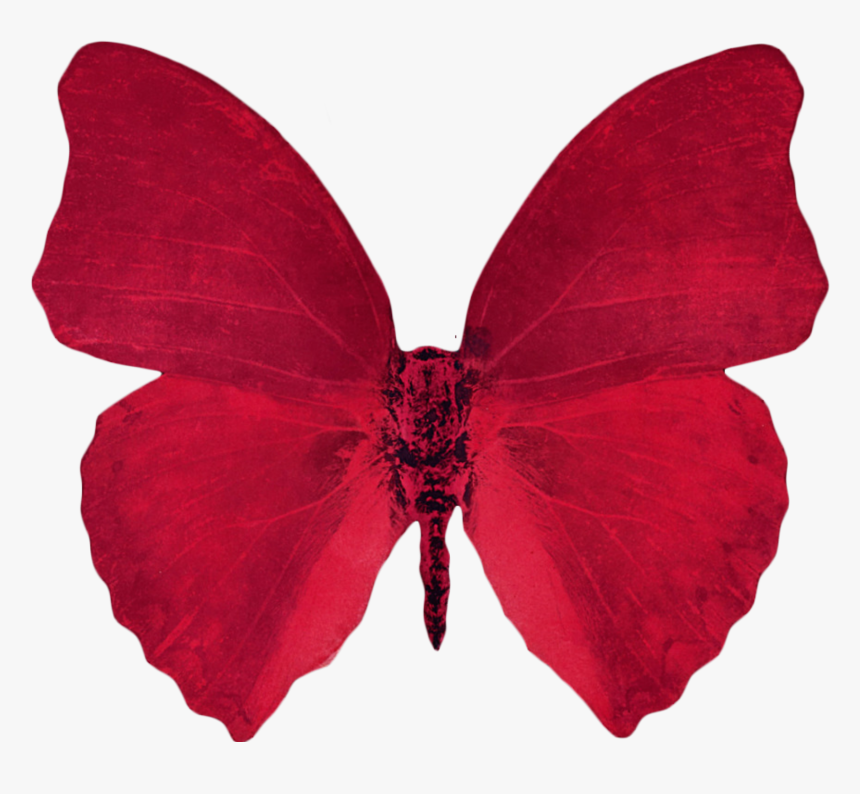 Portable Network Graphics Vaporwave Transparency Aesthetics - Aesthetic Red Transparent Background, HD Png Download