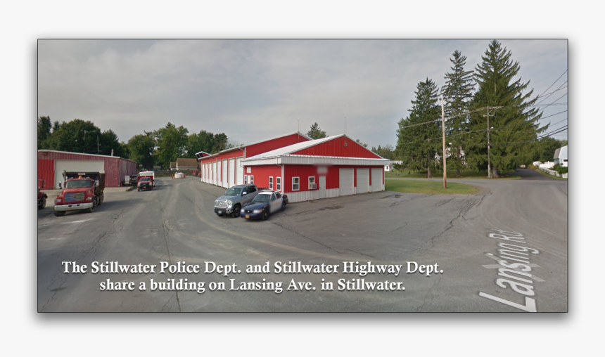 Conifer, HD Png Download