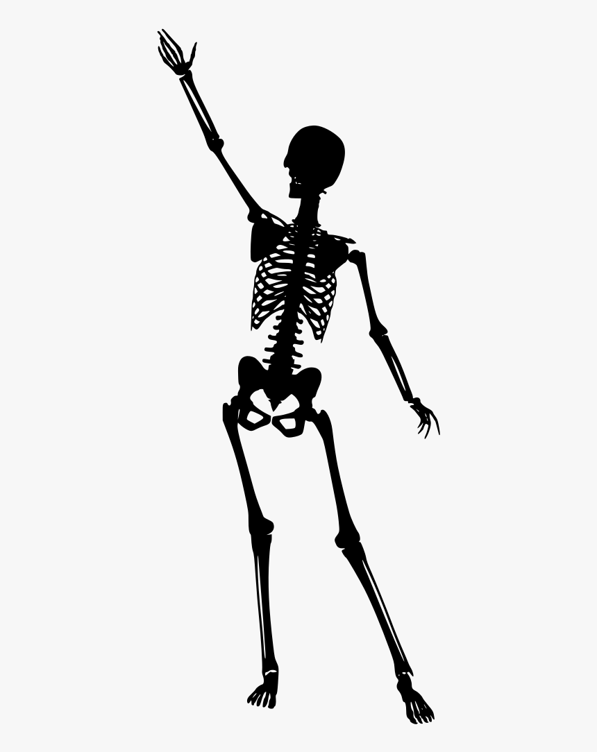Transparent Human Skeleton Png - Portable Network Graphics, Png Download