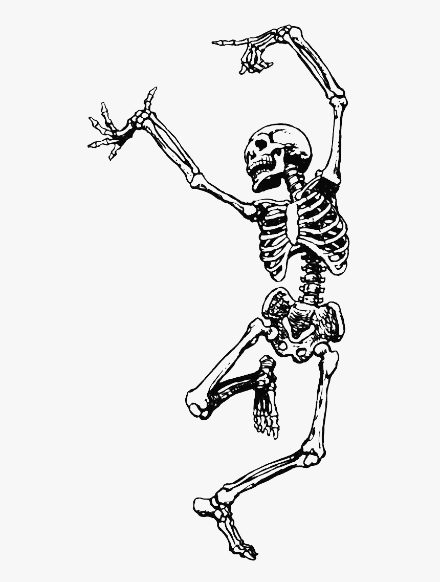 Dance Skeleton Human Skull Png File Hd Clipart - Skeleton With Flower Crown, Transparent Png