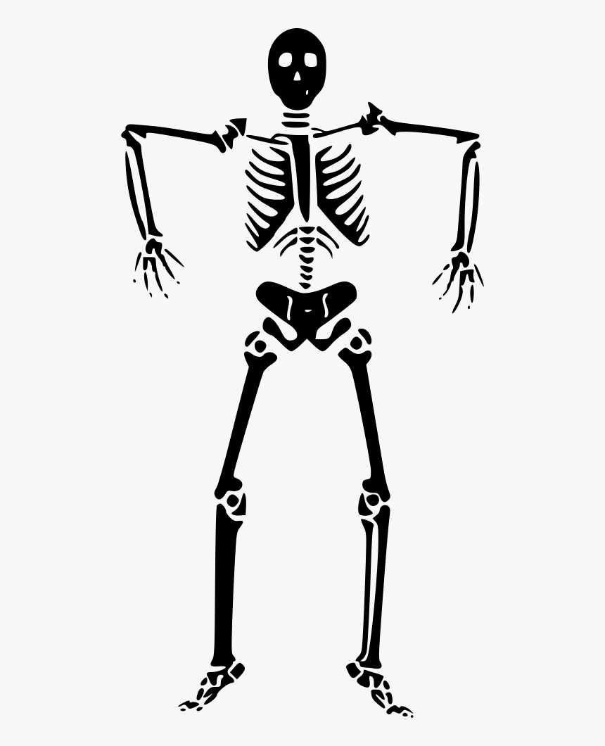 Skeleton - Halloween Skeleton Clipart, HD Png Download