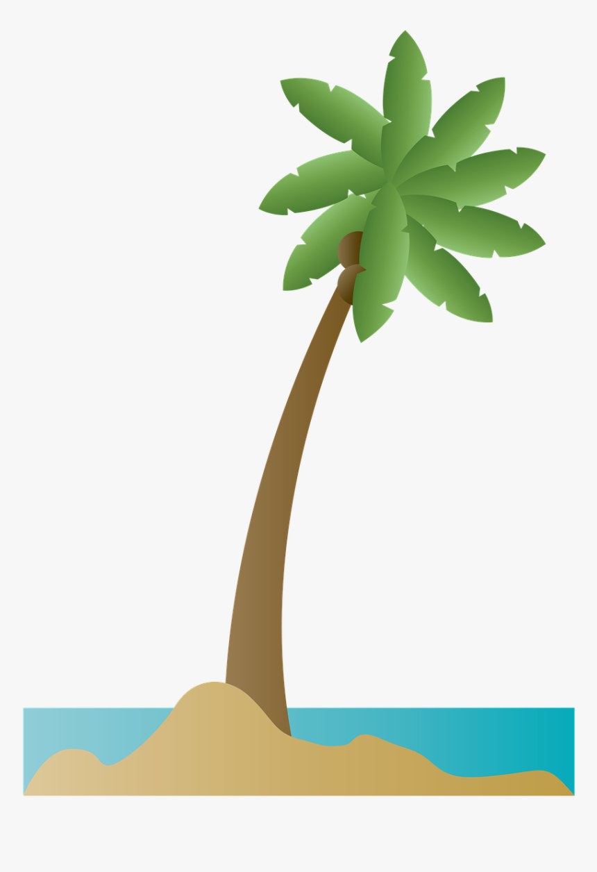Palmera De Mar Png, Transparent Png