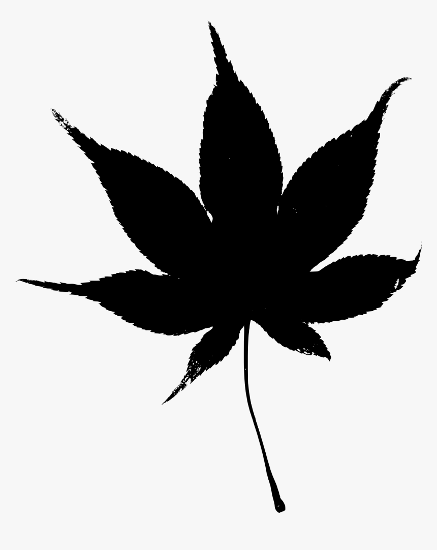 Japanese Fall Leaf Clip Arts - Japanese Maple Leaf Clipart, HD Png Download