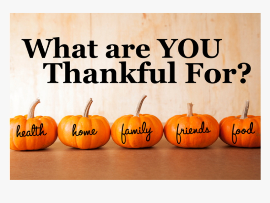 Happy Thanksgiving Engineers, HD Png Download