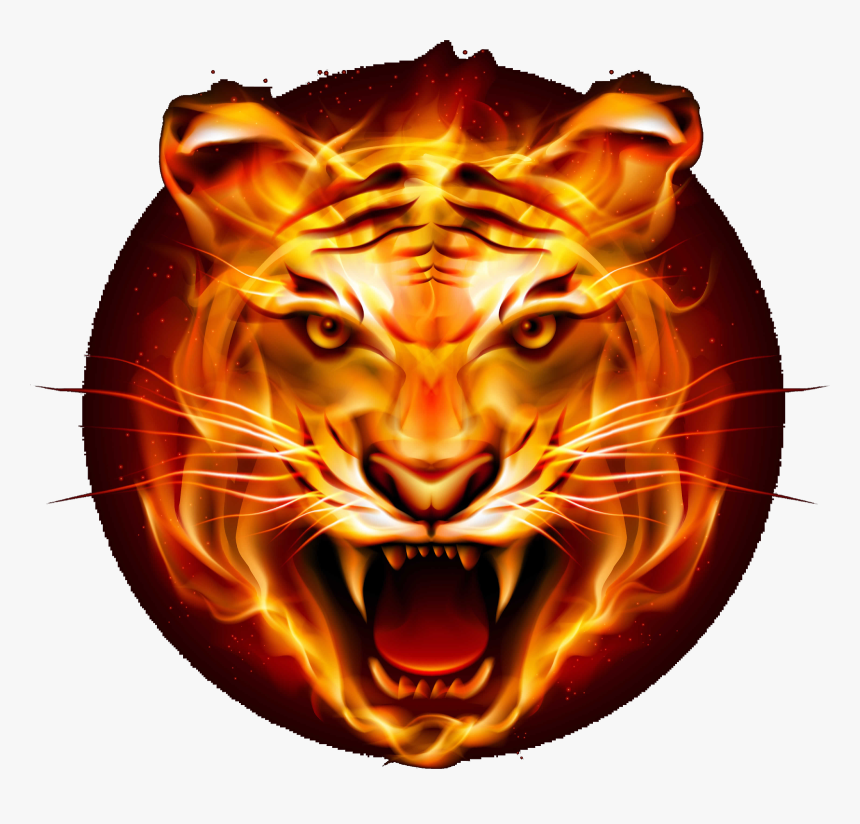 Tiger Png Logo - Tiger Png, Transparent Png