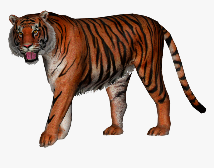 Transparent Tiger Png - American Lion Vs Ngandong Tiger, Png Download