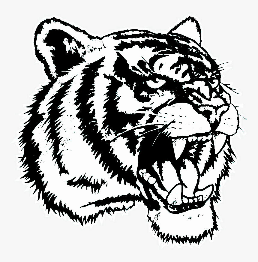 Transparent Tiger Png - Dre The Detox Chroniclez Vol, Png Download
