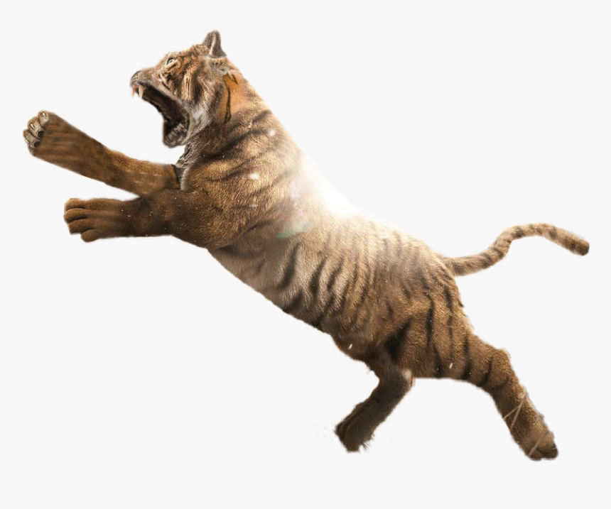 Attcking Tiger Png - Picsart Photo Studio, Transparent Png