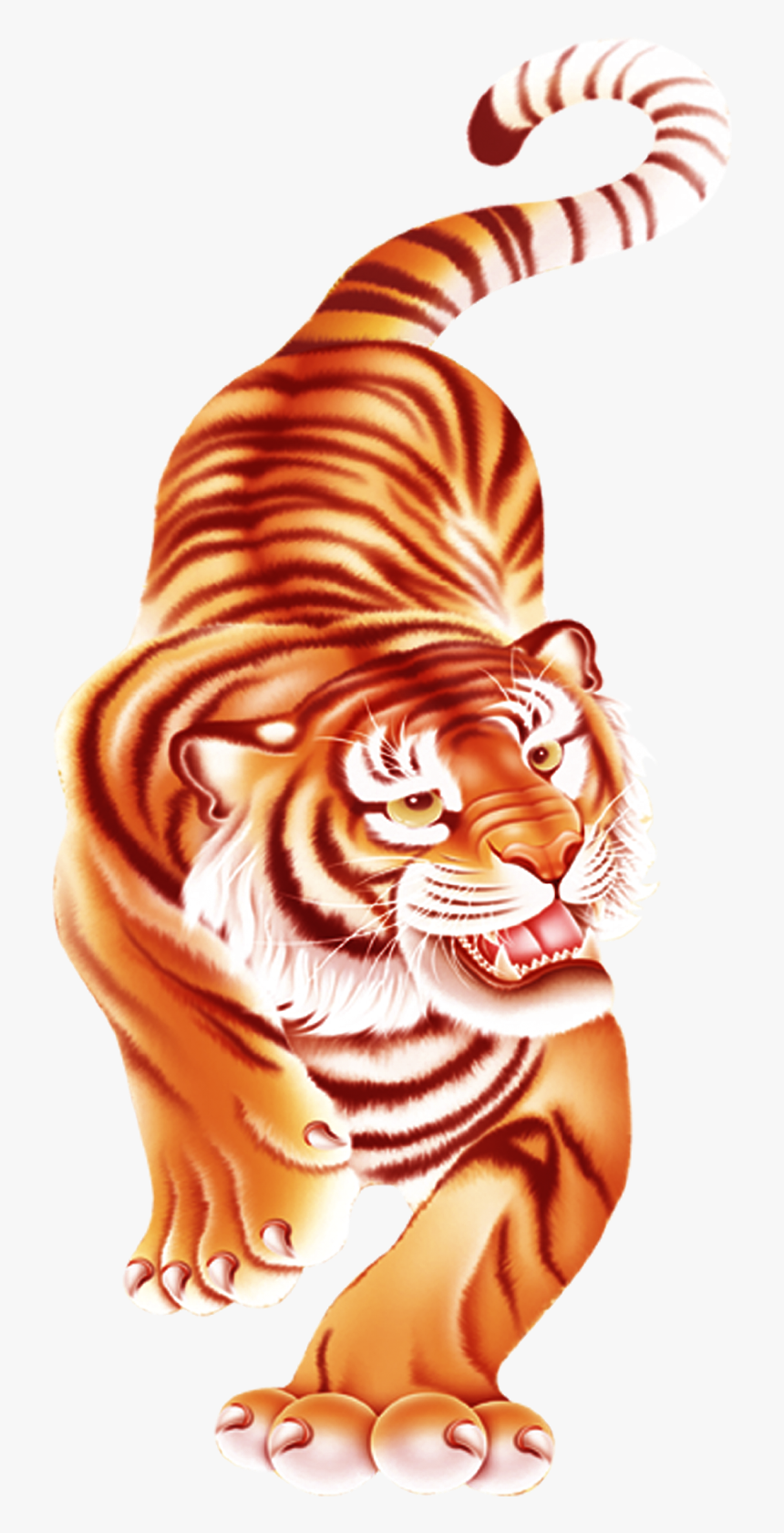 Tiger Png, Transparent Png