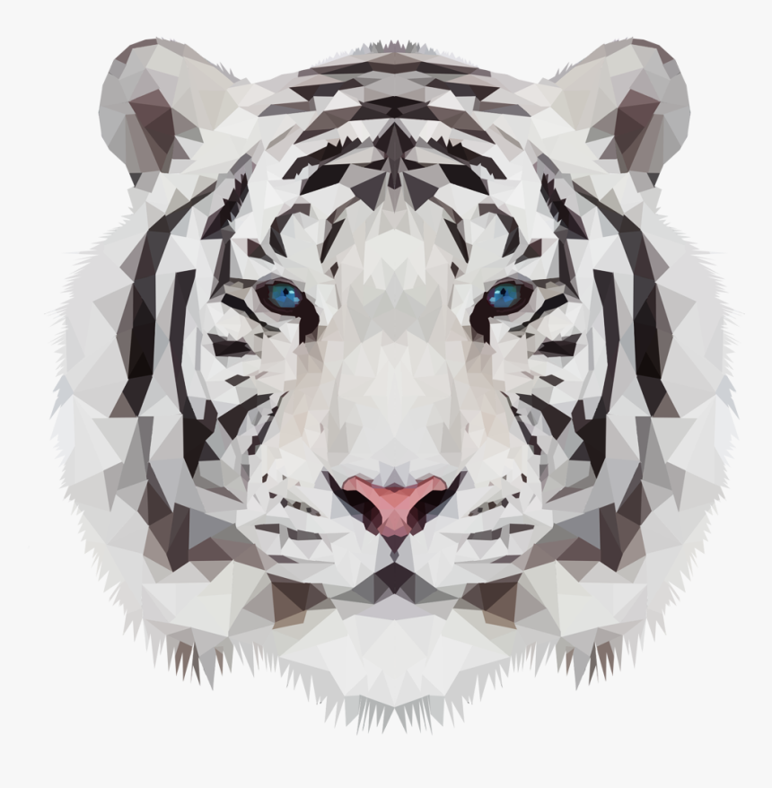 Bengal-tiger - Low Poly Art White Tiger, HD Png Download
