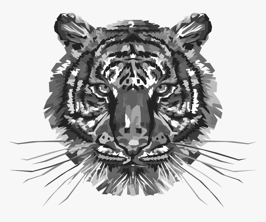 Transparent Roaring Tiger Png - Colorful Tiger, Png Download