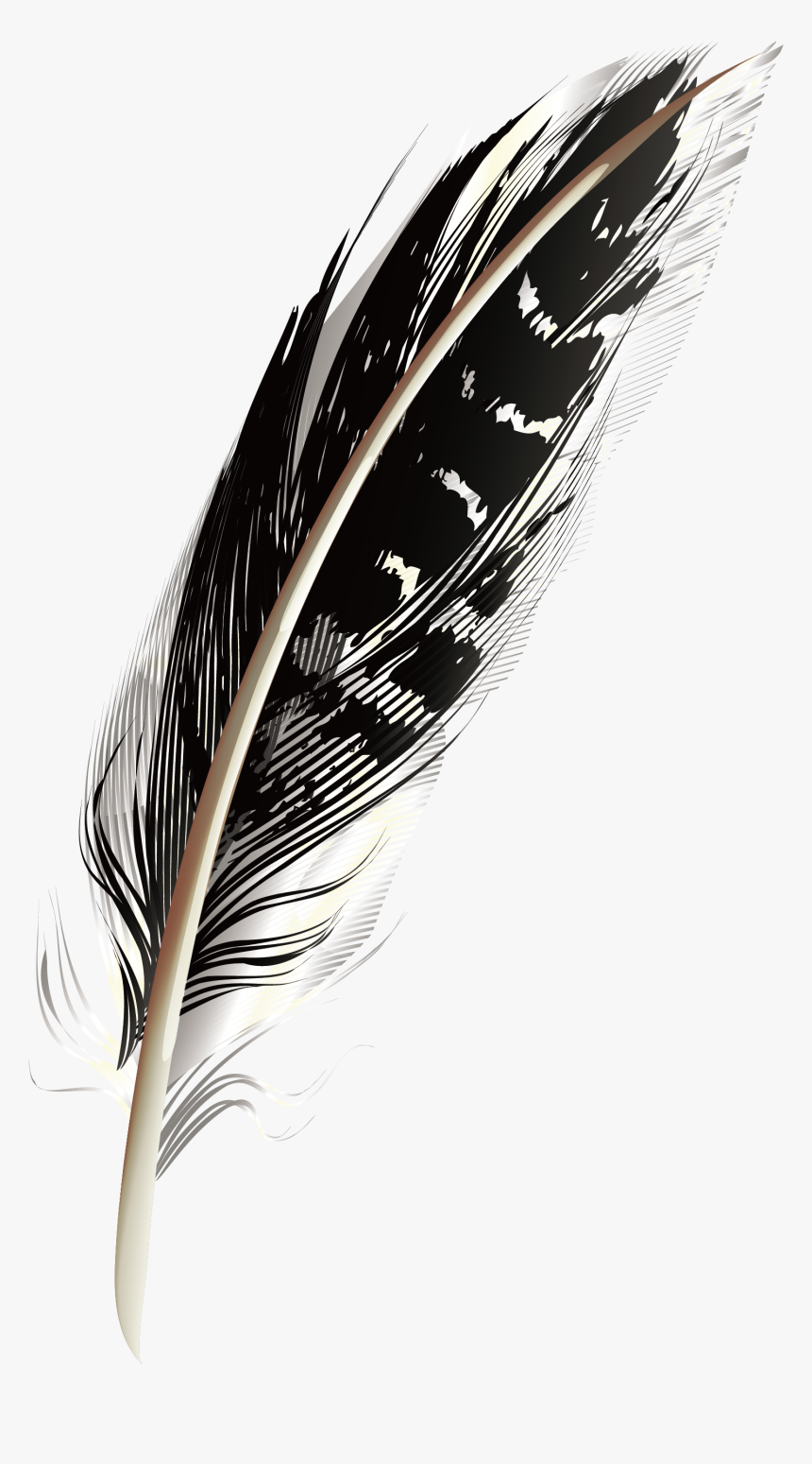A Black Pattern Feathers Png Download - Black Feather Png, Transparent Png