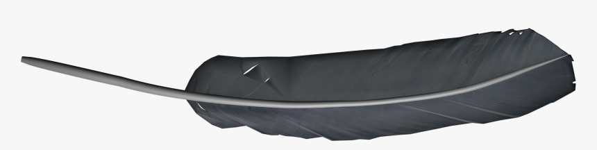 Feather Png - Feather 3d Png, Transparent Png