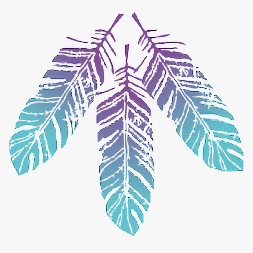 #featherset #feather #feathers #native #boho #pretty - Transparent Boho Feather Png, Png Download