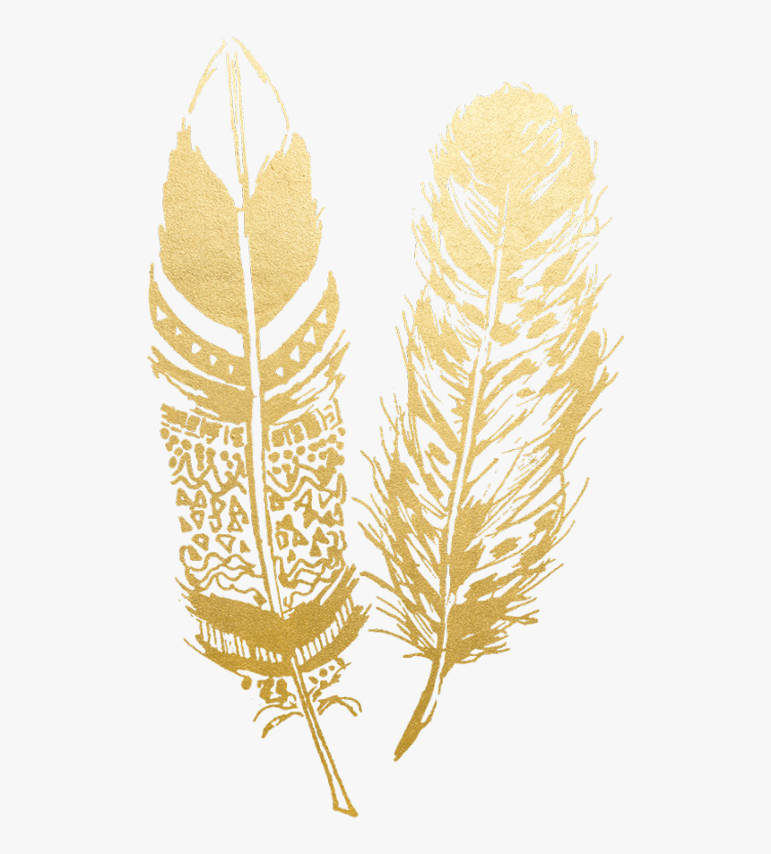 Transparent Feathers Gold - Gold Feather Png, Png Download