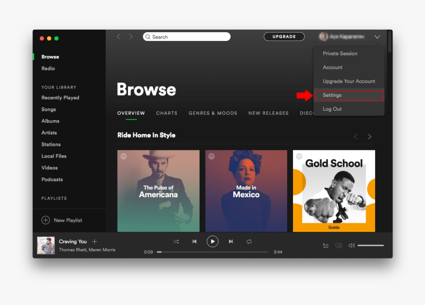 Download Spotify For Macbook