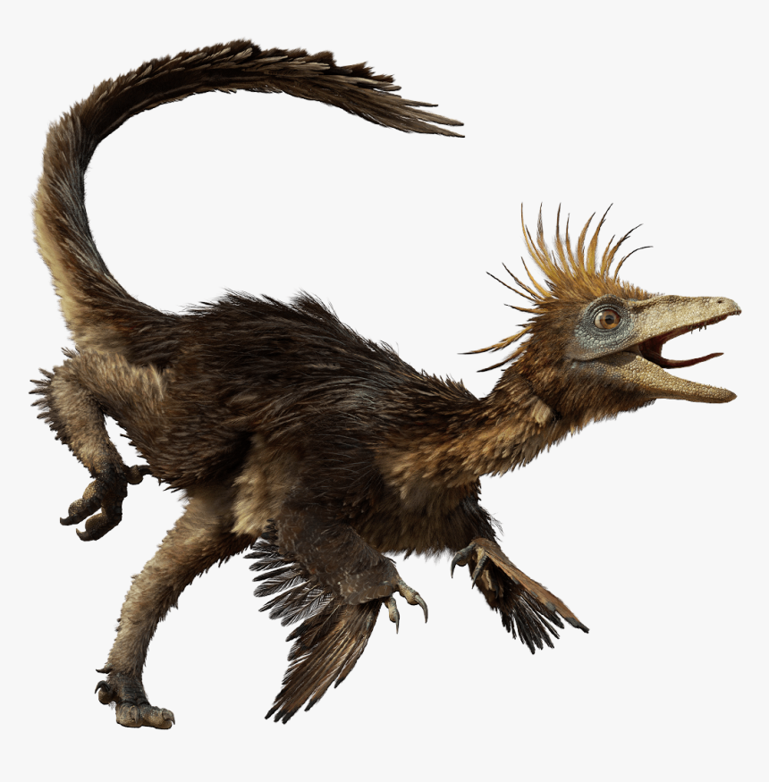 Dfhj - Dinosaurs Troodon, HD Png Download