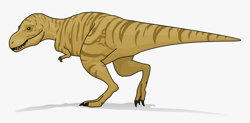 Tyrannosaurus Rex 1-heavyline - Truth About Killer Dinosaurs T Rex Size, HD Png Download