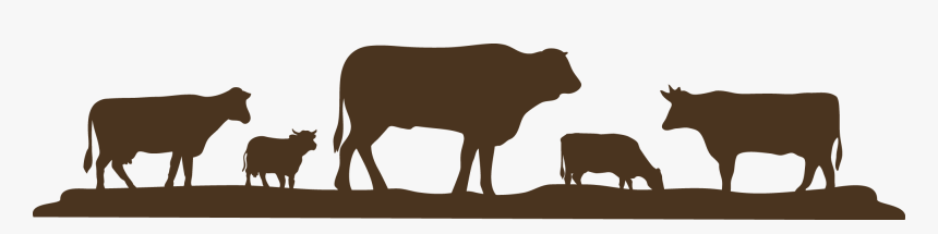 Farm Info Reese Cattle - Grain And Cattle As Money, HD Png Download