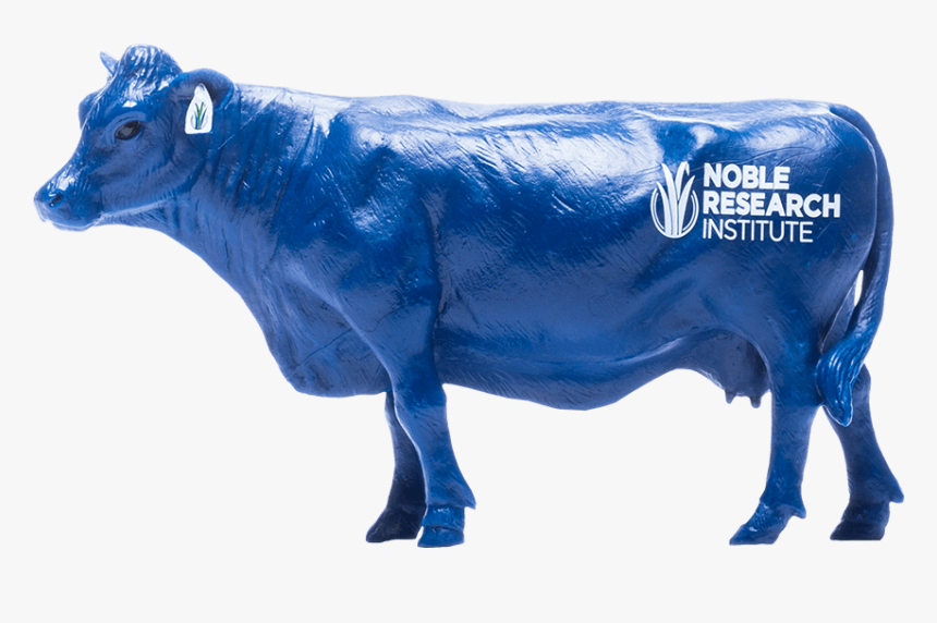 Dairy Cow, HD Png Download