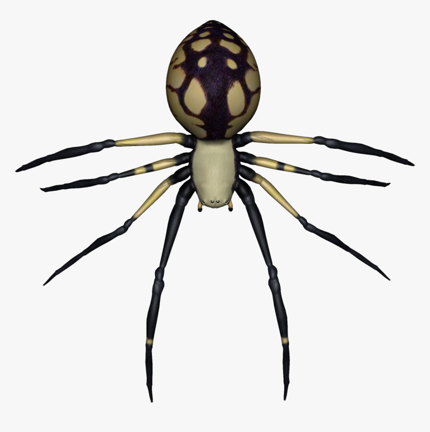 Spider Png Free Download - Transparent Background Spider, Png Download