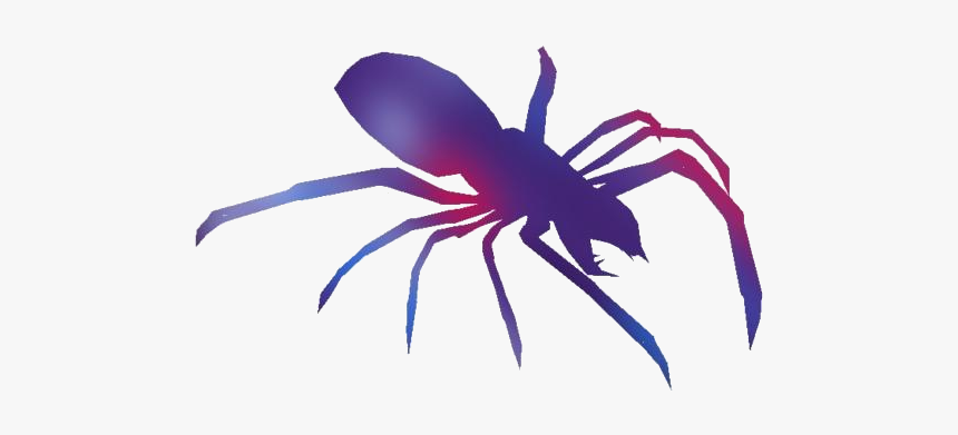 Camel Spider Png Drawing, Transparent Png