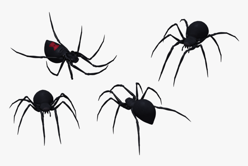 Black Widow Spider Set 09 By Free Stock By Wayne On - Spider Png Vector, Transparent Png