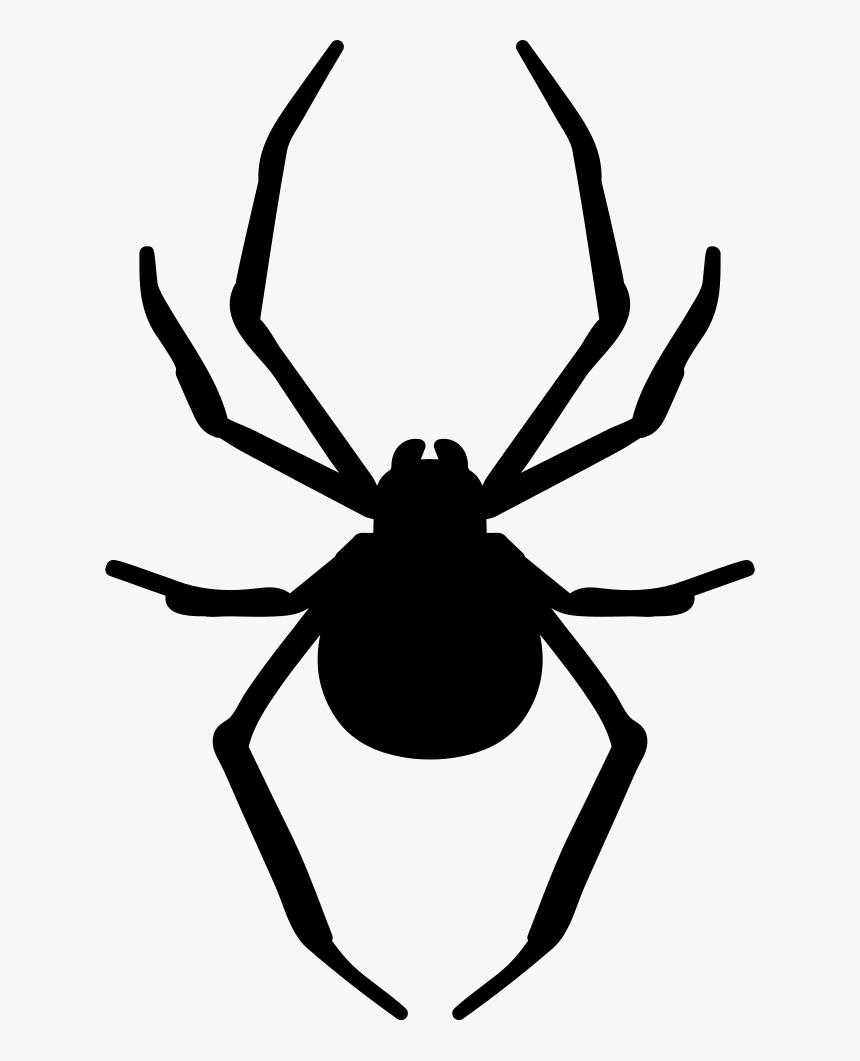 Spider Clipart Arthropod - Silhouette Spider Web Png, Transparent Png