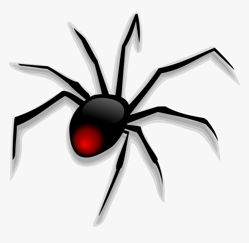 Cartoon Spider Png - Spider Clipart Png, Transparent Png