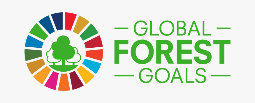 Unspf2030 - United Nation Forum On Forest, HD Png Download