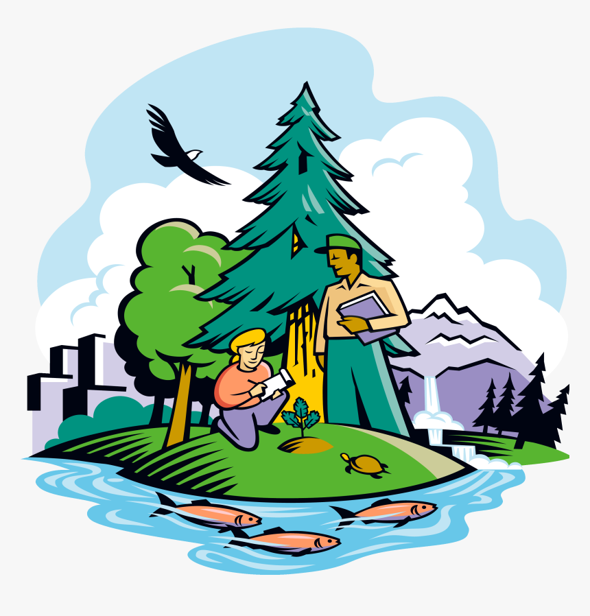 Fir Tree Clipart Pinart Snow On Fur Tree Christmas - Forestry And Education The Art, HD Png Download