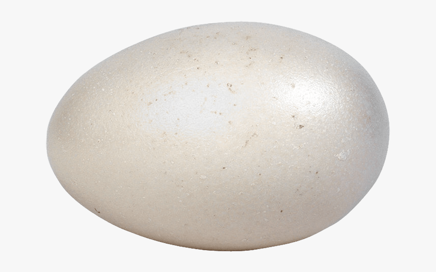 Eggs - Sphere, HD Png Download