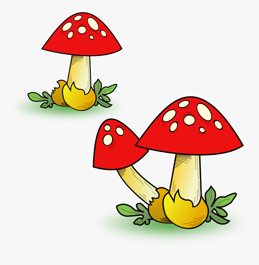 Heavy Fungal Forest Clip Arts - Mushroom Clipart, HD Png Download