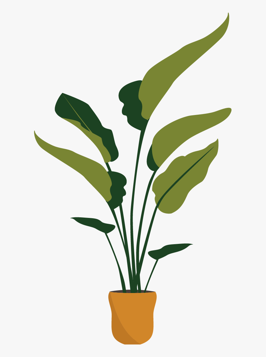 Houseplant, HD Png Download