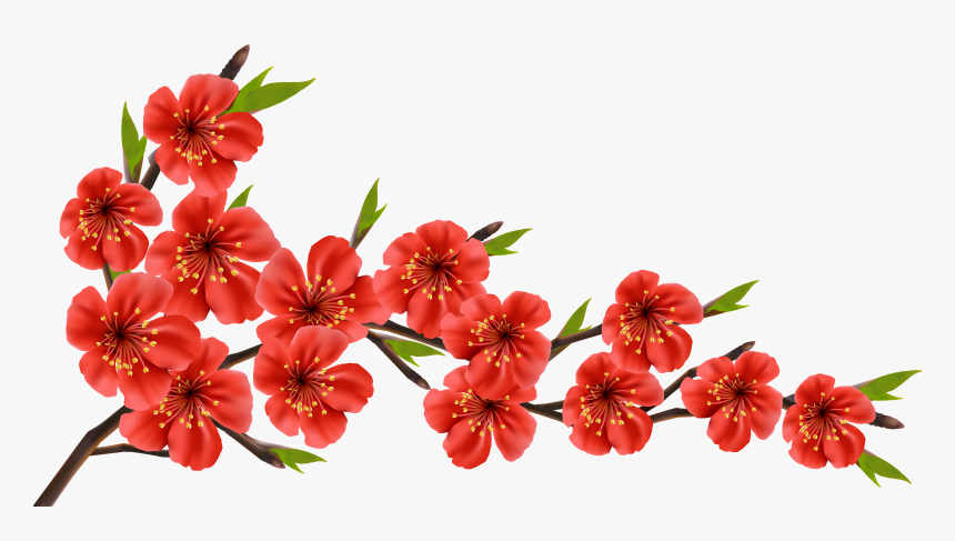 Red Flowers Png - Cherry Blossom Red Png, Transparent Png