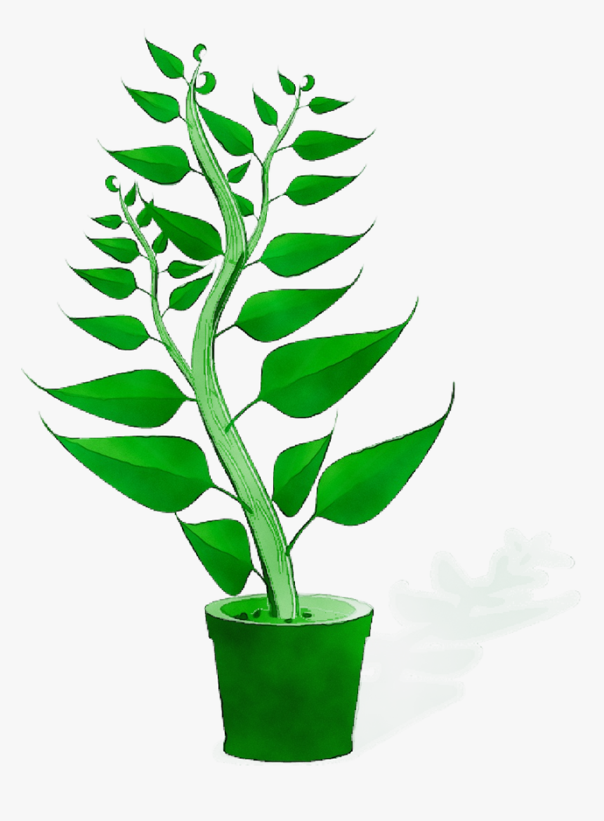 Plants Plant Genetics Agriculture Plant Breeding - Excess Co2, HD Png Download